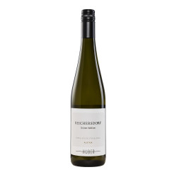 GRUNER VELTLINER REICHERSDORF HUBER AUTRICHE