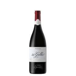 21 GABLES PINOTAGE SPIER AFRIQUE DU SUD